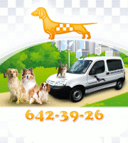 Зоотакси, такси для животных